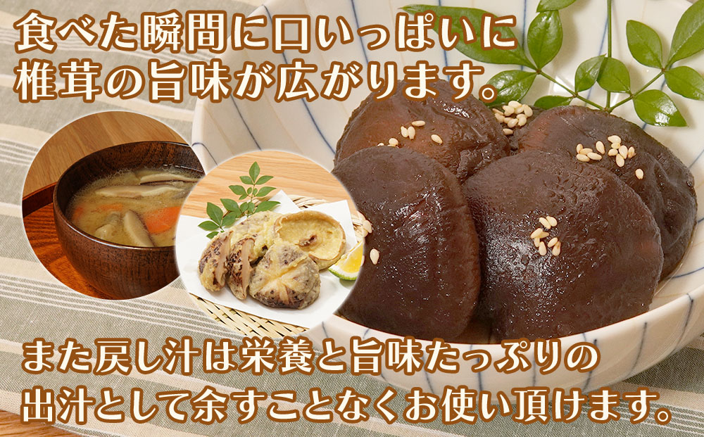 乾燥椎茸 国産 どんこ100g×5パック | 乾しいたけ 干し椎茸 原木椎茸 干し椎茸 干ししいたけ 乾しいたけ 大分県産 九州 産地直送 中津市 送料無料