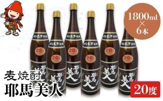 麦焼酎 耶馬美人 20度 1,800ml×6本 | 大分県中津市の地酒 焼酎 酒 アルコール 大分県産 九州産 中津市 国産 送料無料