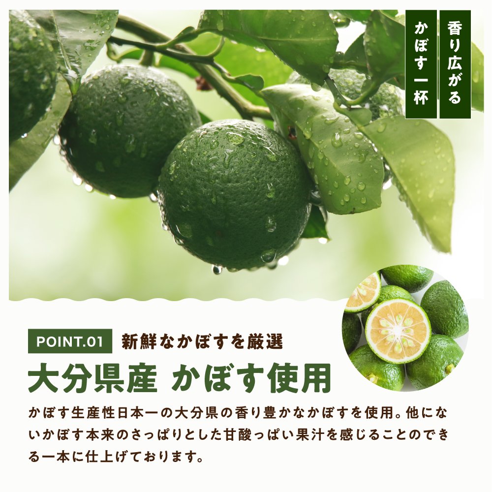 かぼす果汁 1.8L×2本 |  大分県産カボス お酢 ポン酢 ぽん酢 調味料 ストレート果汁