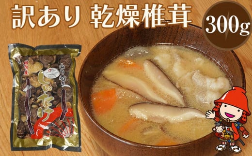 乾燥椎茸 訳あり 椎茸 300g | 乾しいたけ 干し椎茸 干ししいたけ 乾燥しいたけ 干しシイタケ 原木 大分県産 九州産 中津市 国産 送料無料