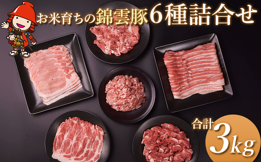 高級 ブランド 錦雲豚 たっぷり 3kg 詰め合わせ 6種 セット | お肉 肉 豚 豚肉 お米育ちの 錦雲豚 しゃぶしゃぶ 生姜焼き 丼 バラ ロース モモ ミンチ うで 豚肉 冷凍 送料無料 大分県 中津市
