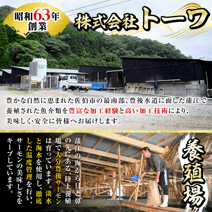 大分豊後サーモン 切り身(5P)+中落ち丼(1P)セット 魚 鮮魚 切身 中落ち 丼 冷凍 佐伯 養殖 食べ比べ 国産 大分県 佐伯市【EA28】【(株)トーワ】