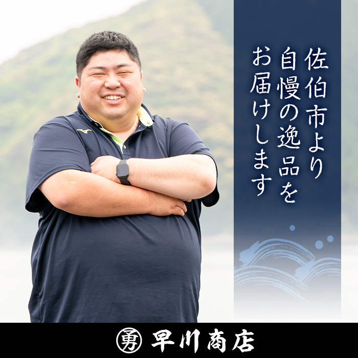 すりみ天いなり セット (計12個・4個入×3袋) すりみ すり身 いなり いりこ 鰹節 魚 魚介 弁当 惣菜 冷凍 セット 大分県 佐伯市【FK06】【早川商店】