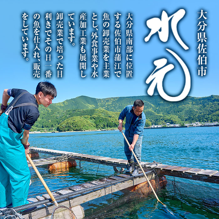 ＜定期便・全3回 (隔月)＞ 訳あり 骨取り 白身魚 切身 (総量3.6kg・計1.2kg×3回) 魚 切り身 小分け 骨取り カット済 無塩 簡単調理 冷凍 定期便 国産 大分県産 おかず おつまみ お弁当 にべ ニベ 【GO014】【(株)水元】
