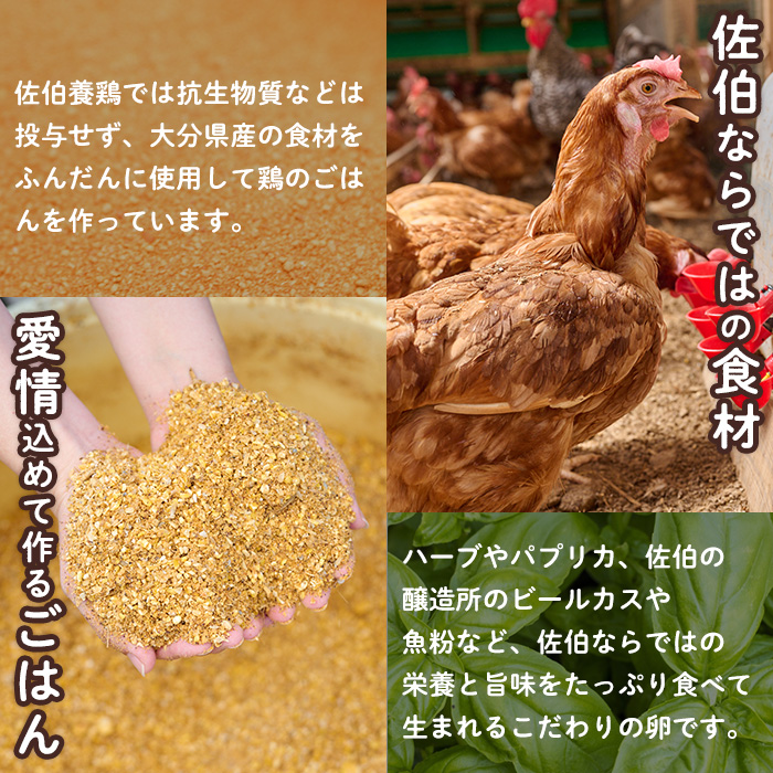 ＜定期便・全3回＞産直・平飼い有精卵 (総計180個・60個×3回(4ヶ月おき発送)) 卵 玉子 卵かけご飯 玉子焼き 平飼い 鶏 鶏卵 養鶏場直送 朝採れ 新鮮 大分県 佐伯市 【HM08】【佐伯養鶏場】