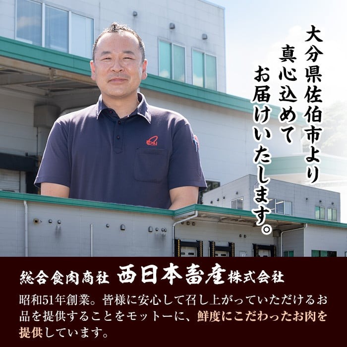 ＜定期便・全3回 (連続)＞おおいた 和牛 ヒレステーキ (約100g×4枚×3回) 国産 ステーキ 牛肉 豊後牛 BBQ バーベキュー 焼肉 ヒレ ヒレ肉 惣菜 大分県 佐伯市【BD302】【西日本畜産 (株)】