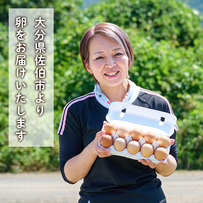 産直・平飼い有精卵 (計60個) 卵 玉子 卵かけご飯 玉子焼き 平飼い 鶏 鶏卵 養鶏場直送 朝採れ 新鮮 大分県 佐伯市 【HM02】【佐伯養鶏場】