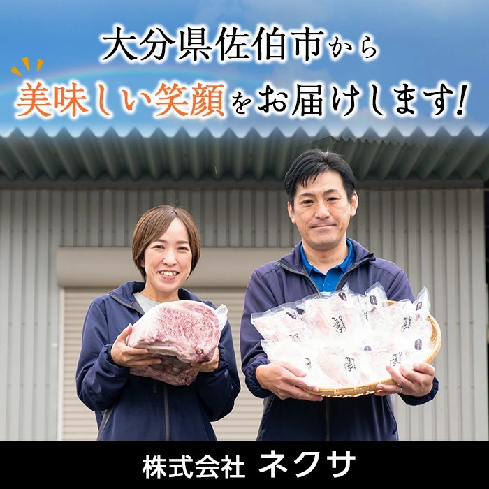 時短おかず 揚げるだけ やわらか！ジューシー！塩からあげ (計2kg・500g×4P) 国産 肉 鶏肉 モモ 鶏モモ肉 からあげ 唐揚げ 冷凍 惣菜 お弁当 簡単 時短 大分県 佐伯市【DH274】【(株)ネクサ】