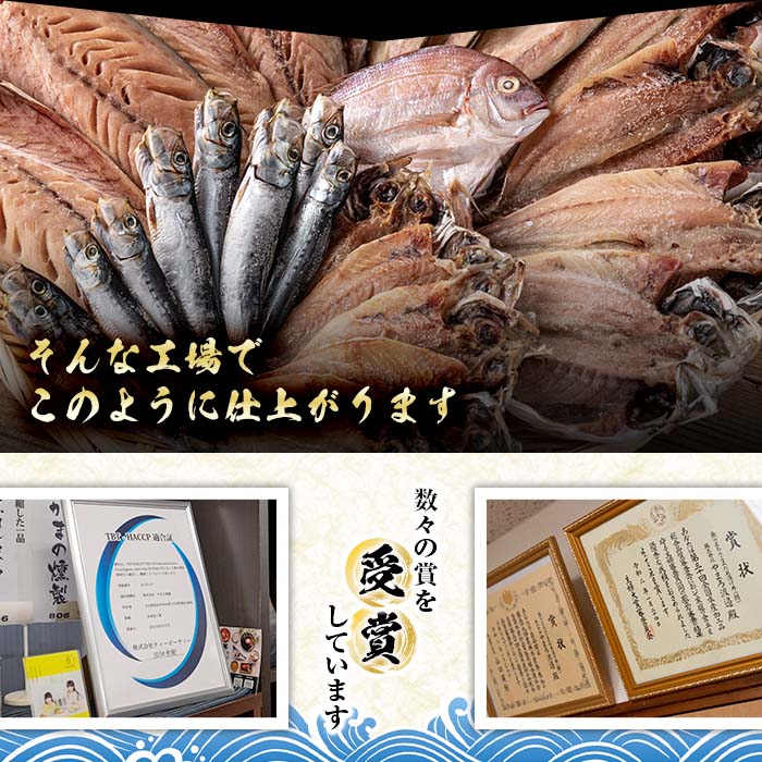  中骨なし開き3種詰め合わせ (16尾・3種:隔月3回) 定期便 フライパン 簡単 調理 干物 あじ アジ かます カマス さば サバ 丸干し 開き 骨なし 魚 海鮮 冷凍 詰め合わせ セット 大分県 佐伯市 【AQ97】【(株)やまろ渡邉】