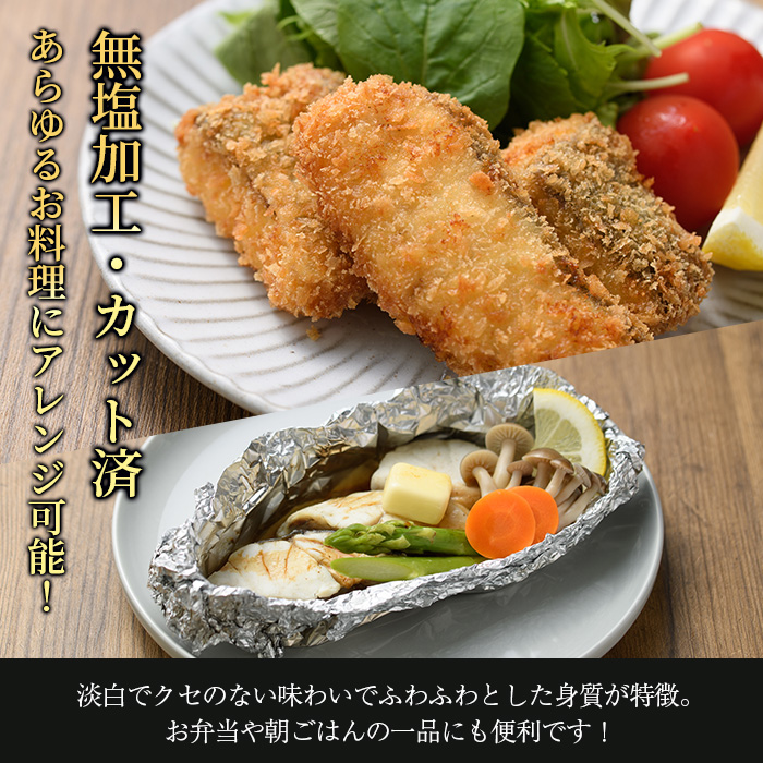 ＜定期便・全3回 (隔月)＞ 訳あり 骨取り 白身魚 切身 (総量3.6kg・計1.2kg×3回) 魚 切り身 小分け 骨取り カット済 無塩 簡単調理 冷凍 定期便 国産 大分県産 おかず おつまみ お弁当 にべ ニベ 【GO014】【(株)水元】