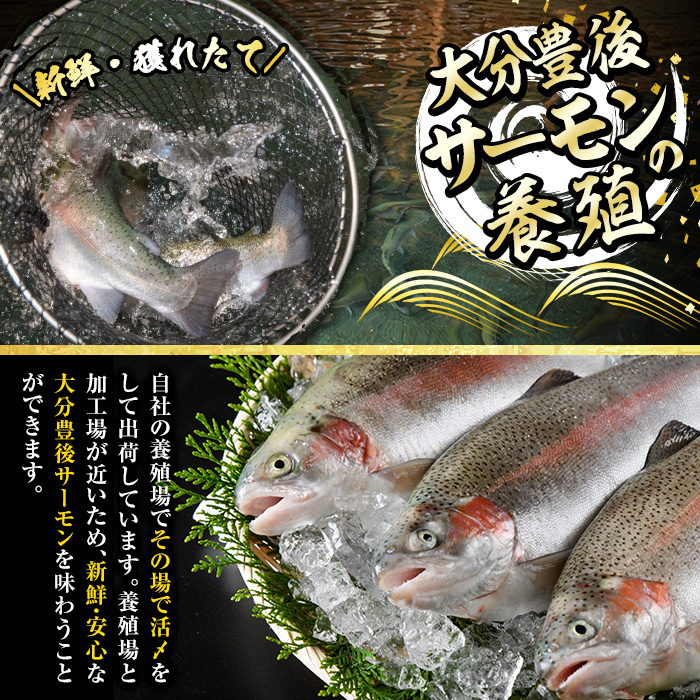 大分豊後サーモン フィレ(350g以上) 魚 鮮魚 刺身 さしみ 冷凍 佐伯 養殖 国産 大分県 佐伯市【EA27】【(株)トーワ】