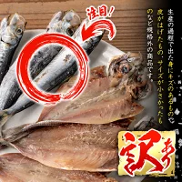 ＜訳あり＞干物お楽しみBOX (25尾以上：隔月3回) 定期便 簡単 干物 たい タイ あじ アジ かます カマス さば サバ いわし イワシ 丸干し 開き みりん干し 魚 海鮮 冷凍 詰め合わせ セット【AQ96】【(株)やまろ渡邉】