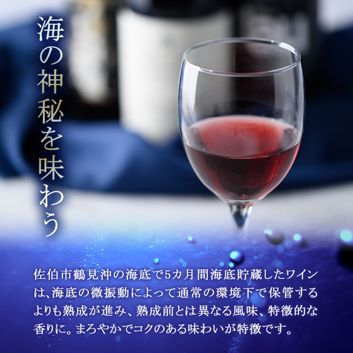海底貯蔵 赤ワイン MARIREINE ロネア コート デュ ローヌ レジョンド デ トック2024 (750ml・1本) ワイン 赤ワイン 酒 パーティー 海底蔵の眠り酒 熟成 大分県 佐伯市【FP033】【フルタ酒店】