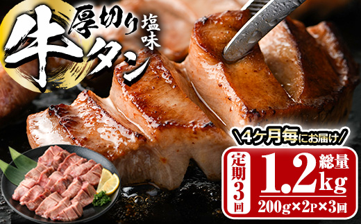 ＜定期便・全3回 (4か月ごとの発送)＞厚切り 塩味 牛タン (総量1.2kg) 定期便 小分け 牛肉 肉 タン 牛たん 味付け 焼肉 塩 BBQ 冷凍 大分県 佐伯市【DH315】【ネクサ】
