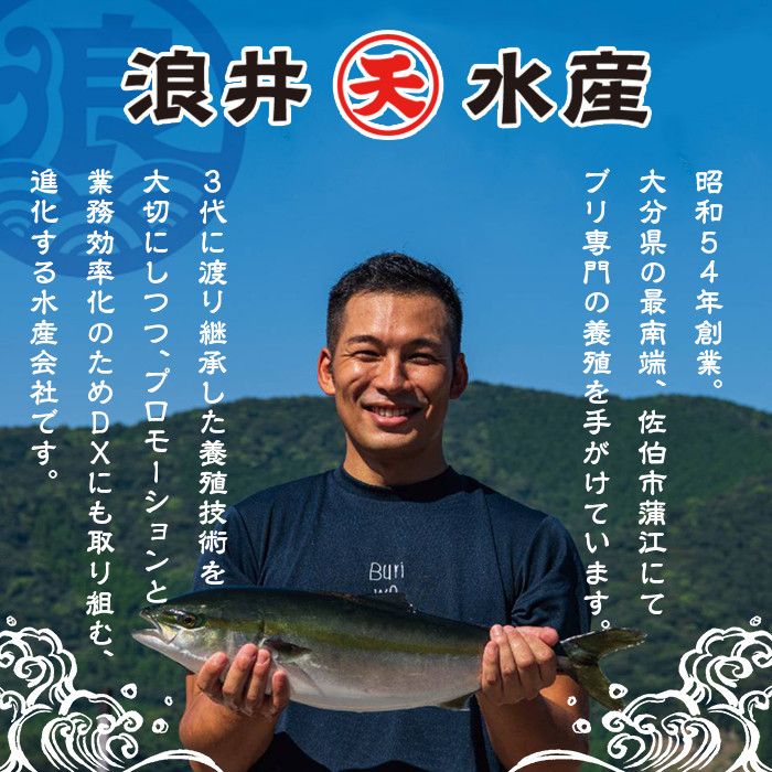 豊後ハマチ 若武者(三枚おろし済1尾) ハマチ はまち 鮮魚 旬 刺身 三枚おろし 国産 大分県 佐伯市 特産品【GS002】【浪井丸天水産】