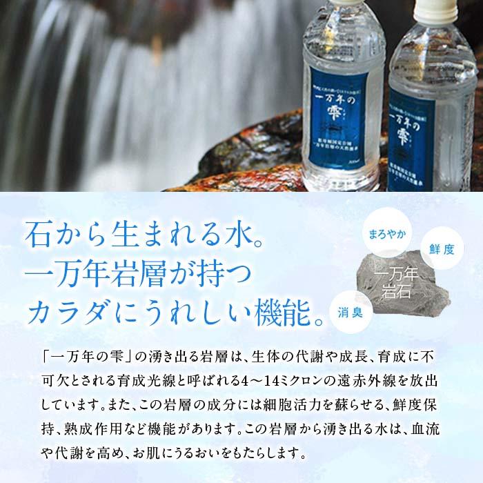 ミネラルウォーター 一万年の雫 軟水 (500ml×24本・2L×6本) 国産 お水 ミネラル 天然 料理 健康 維持 大分県 佐伯市 防災 常温 常温保存【BM85】【(株)ウェルトップ】