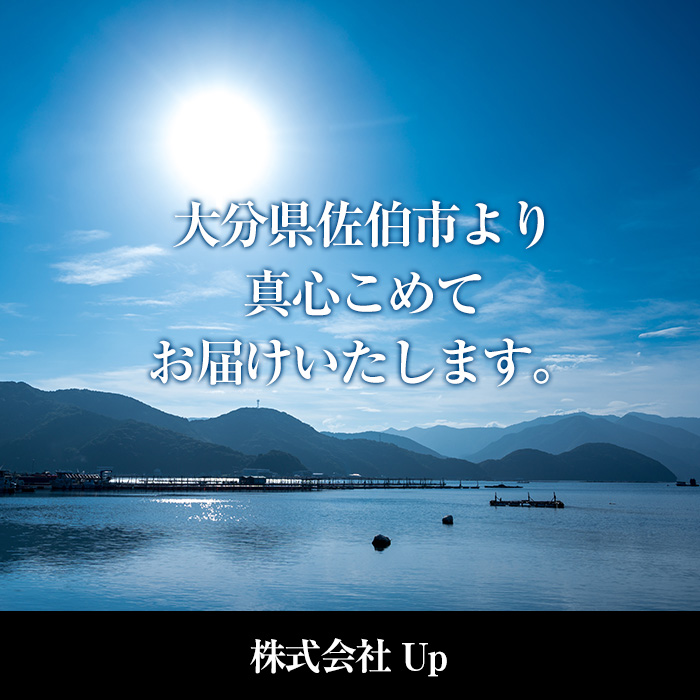 BURIDELIシリーズ ブリフレーク ブリ味噌 ブリごまだし(計3本) 鰤 ブリ 養殖ブリ ふりかけ 味噌 お茶漬け 加工食品 郷土料理 大分県 佐伯市【EW067】【(株)Up】