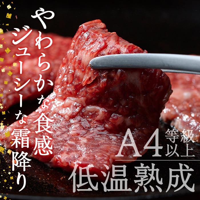 おおいた和牛 カルビ 2種焼肉セット (合計550g・赤身カルビ250g+カルビ300g) 国産 牛肉 肉 霜降り 低温熟成 A4 和牛 ブランド牛 焼肉 BBQ 冷凍 大分県 佐伯市【DH211】【(株)ネクサ】