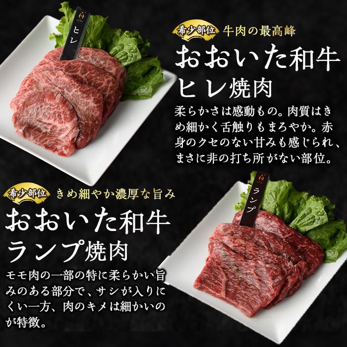 ＜訳あり＞厳選焼肉お試しセット (合計410g・5種) おおいた和牛 アイオワプレミアム 牛タン 米の恵み 豚バラ 焼肉 牛肉 肉 豚肉 赤身 カルビ 希少部位 低温熟成 和牛 ブランド牛 BBQ 冷凍 大分県 佐伯市【DH263】【(株)ネクサ】