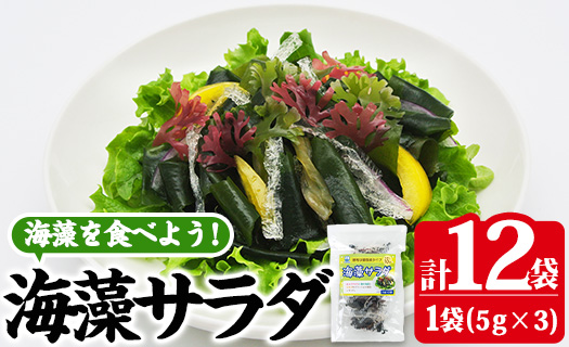 海藻サラダ (合計12袋・1袋3P入)海藻 寒天 サラダ 酢の物 スープ 常温 大分県 佐伯市【CW11】【(株)山忠】