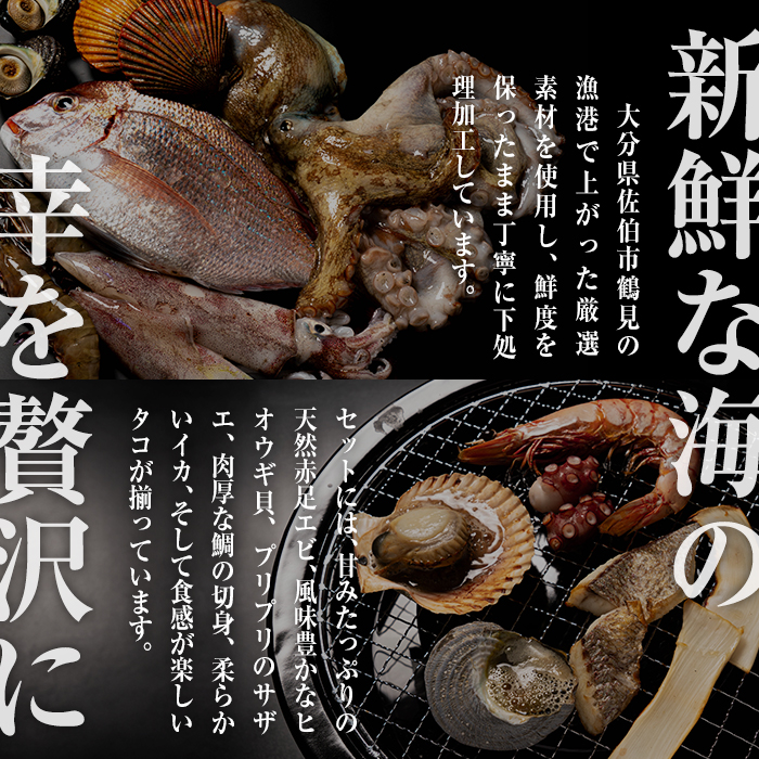 海鮮 BBQ セット (6種・18品) 魚 天然 赤足エビ アカアシ エビ 緋扇貝 ヒオウギ サザエ 鯛 タイ イカ タコ 下処理 済み 高級 豊後水道 個包装 冷凍 大分県 佐伯市 【FZ008】【波平食堂】