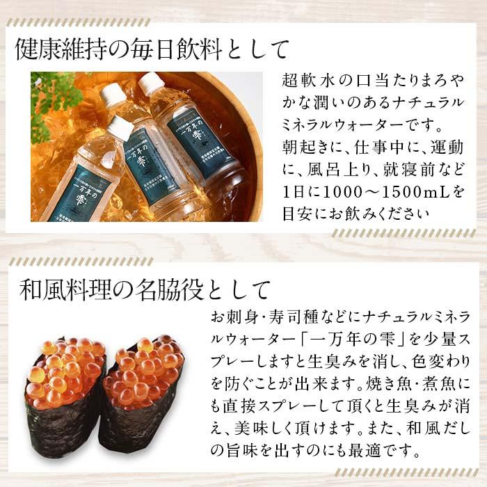 ミネラルウォーター 一万年の雫 軟水 (計12L・500ml×24本) 国産 お水 ミネラル 天然 料理 健康 維持 大分県 佐伯市 防災 常温 常温保存【BM76】【 (株)ウェルトップ】