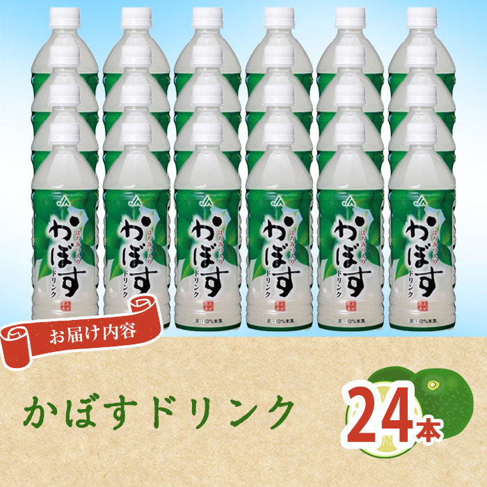 ããŒãããªã³ã¯(24æ¬) ããŒã ããªã³ã¯ ãžã¥ãŒã¹ 飲æ 倧åçç£ ç¹ç£å 倧åç äœäŒ¯åž é²çœ åžžæž© åžžæž©ä¿åãDT18ããå
šåœèŸ²æ¥ååçµåé£åäŒå€§åçæ¬éšã