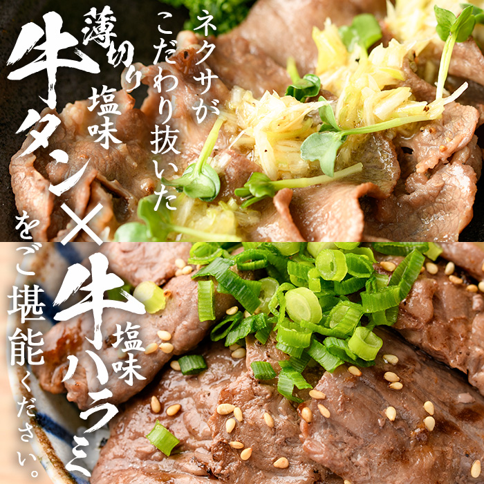 ＜定期便・全3回 (4か月ごとの発送)＞たっぷり！ 薄切り 塩 牛タン・牛ハラミ セット (総量3.6kg) 小分け 牛肉 肉 タン たん ハラミ はらみ 詰め合わせ 味付け 焼肉 BBQ 冷凍 大分県 佐伯市【DH330】【ネクサ】