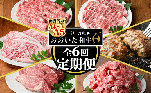 ＜定期便・全6回(連続)＞おおいた和牛 定期便 (総量4.33kg) 国産 牛肉 肉 霜降り A4 A5 黒毛和牛 ステーキ すき焼き しゃぶしゃぶ 焼肉 和牛 豊後牛 ブランド牛 冷凍 ハンバーグ【HE12】【(株)吉野】