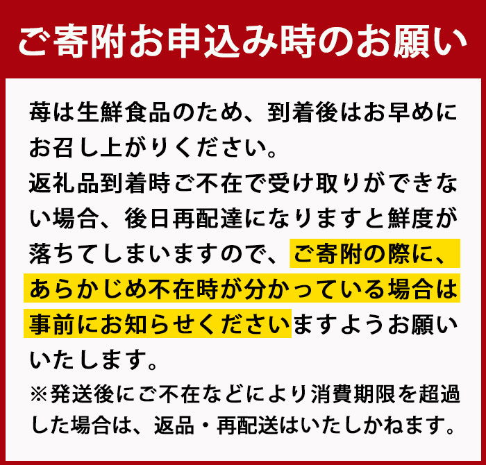 ＜先行予約受付中！2025年1月より順次発送予定＞＜数量限定＞ 佐伯産 いちご ベリーツ (2Lサイズ計15粒・1箱) 大分県産 イチゴ 苺 果物 フルーツ デザート スイーツ 甘い 大分県 佐伯市【BS63】【大分県農業協同組合 南部エリア (佐伯)】