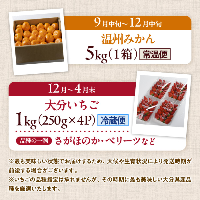 ＜定期便・全4回＞大分県産旬のフルーツ定期便 (4種・総量9kg) ブルーベリー シャインマスカット 温州みかん いちご フルーツ 果物 柑橘 ブドウ デザート 大分県産＜北海道・沖縄・離島配送不可＞ 【DT23】【全国農業協同組合連合会大分県本部】