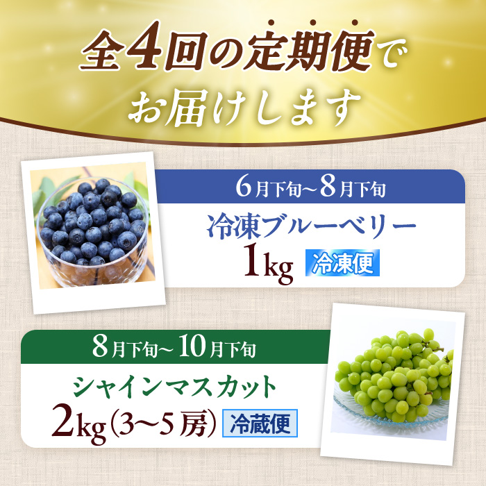 ＜定期便・全4回＞大分県産旬のフルーツ定期便 (4種・総量9kg) ブルーベリー シャインマスカット 温州みかん いちご フルーツ 果物 柑橘 ブドウ デザート 大分県産＜北海道・沖縄・離島配送不可＞ 【DT23】【全国農業協同組合連合会大分県本部】