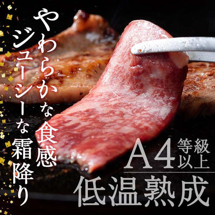 おおいた和牛 上カルビ・上ロース焼肉セット (合計450g・上カルビ250g+上ロース200g) 国産 牛肉 肉 霜降り 低温熟成 A4 和牛 ブランド牛 カルビ ロース 焼肉 BBQ 冷凍 【DH210】【(株)ネクサ】