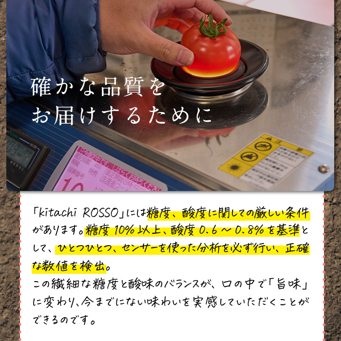 ＜先行予約受付中！2025年1月より順次発送予定＞塩熟トマト KitachiRosso (計600g) 糖度10度以上 塩トマト 塩とまと とまと トマト 野菜 大分県 佐伯市 九州産 国産 お取り寄せ 大分県 佐伯市【AK6f】【げんきファーム】