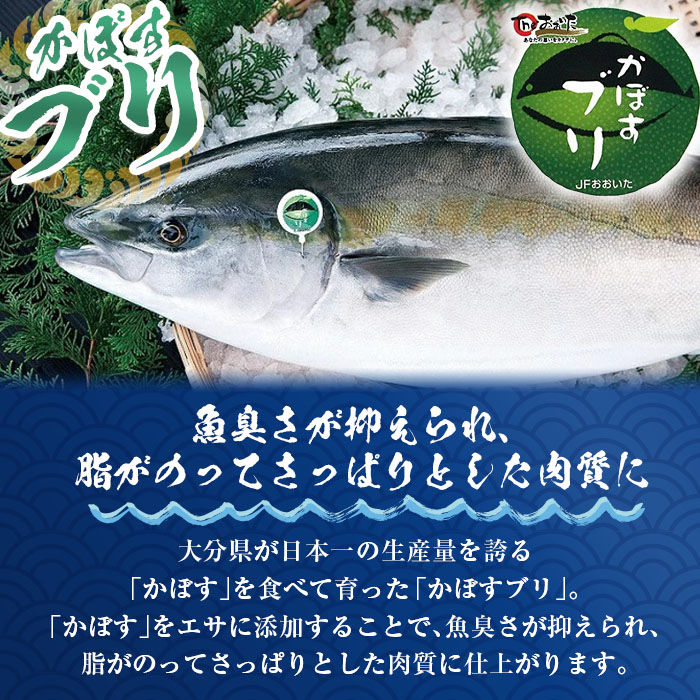 ＜期間限定＞かぼすブリ フィーレ (約1kg) 鰤 ブリ フィーレ 半身 魚 魚介類 養殖 大分県産 大分県 佐伯市【EW032】【(株)Up】