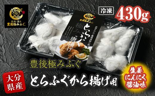 とらふぐ 唐揚げ 生姜にんにく醤油味 (約430g) とらふぐ ふぐ フグ 唐揚げ 醤油 にんにく 生姜 簡単 揚げるだけ おつまみ 冷凍 養殖 国産 大分県 佐伯市【DK08】【(有)エイコー水産】