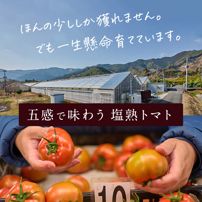 ＜先行予約受付中！2025年2月より順次発送予定＞塩熟トマト KitachiRosso (計1kg) 糖度10度以上 塩トマト 塩とまと とまと トマト 野菜 大分県 佐伯市 九州産 国産 お取り寄せ 大分県 佐伯市【AK7b】【げんきファーム】