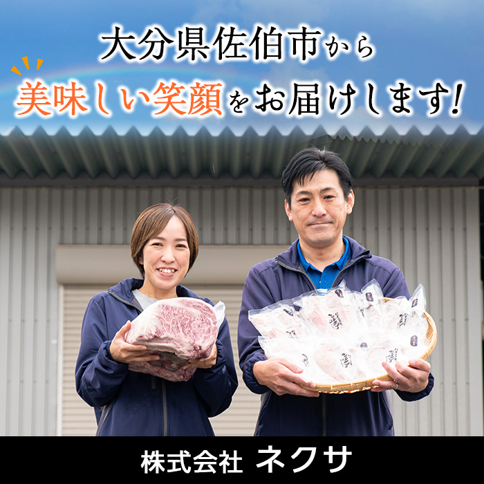 ＜定期便・全4回)＞おおいた和牛 低温熟成 赤身 焼肉 お楽しみ 定期便 (3ヶ月ごとにお届け) 国産 牛肉 肉 霜降り A4 和牛 ブランド牛 冷凍 大分県 佐伯市【DH245】【(株)ネクサ】