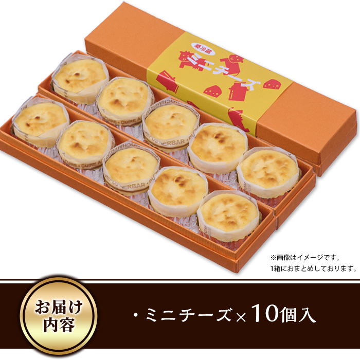 濃厚ミニチーズケーキ (計10個) チーズケーキ チーズ スイーツ 冷凍 お菓子 おやつ 焼き菓子 お取り寄せ 大分県 佐伯市【AJ87】【(有)ケーキ大使館クアンカ・ドーネ】