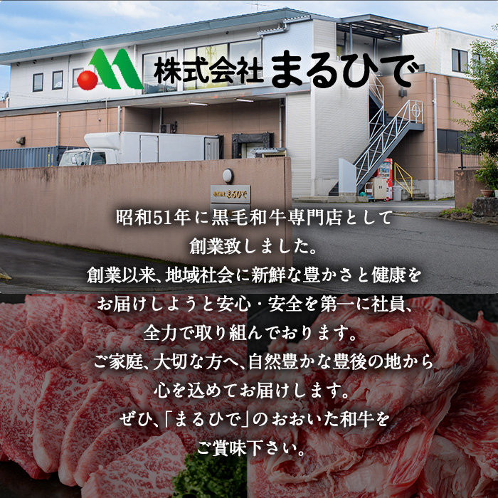 ＜定期便・全6回 (隔月)＞おおいた和牛 定期便 (総量6kg) しゃぶしゃぶ ステーキ 焼肉 すき焼き モモ サーロイン ソース付き ばら ロース ヒレ 小分け 国産 4等級 和牛 牛肉 大分県 佐伯市【DP70】【(株)まるひで】