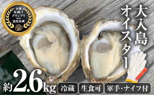 真ガキ 大入島オイスター (約2.6kg) 牡蠣 かき カキ 貝 海鮮 魚介類 冷蔵 生食可 シングルシード 養殖 大分県 佐伯市【ED09】【(合)新栄丸】