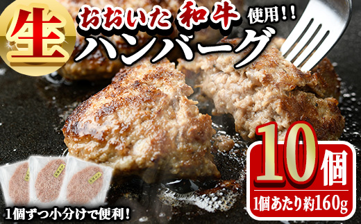 おおいた和牛 生 ハンバーグ (計1.6kg・160g×10個) 牛肉 肉 生ハンバーグ 惣菜 おかず 黒毛和牛 和牛 ブランド牛 冷凍【HE08】【(株)吉野】