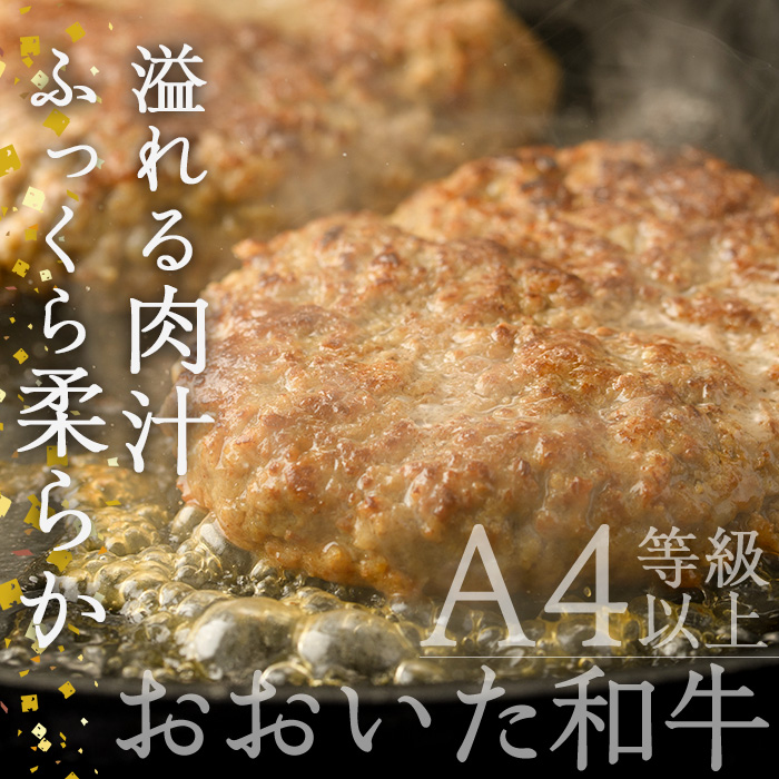 おおいた和牛 100% 手ごね 生ハンバーグ (計900g・150g×6個) 国産 牛肉 肉 霜降り A4 和牛 ブランド牛 冷凍 大分県 佐伯市【DH267】【(株)ネクサ】