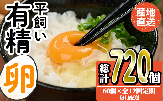 ＜定期便・全12回＞産直・平飼い有精卵 (総計720個・60個×12回(毎月発送)) 卵 玉子 卵かけご飯 玉子焼き 平飼い 鶏 鶏卵 養鶏場直送 朝採れ 新鮮 大分県 佐伯市 【HM10】【佐伯養鶏場】