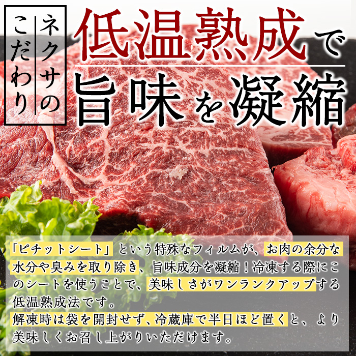 おおいた和牛 ヒレステーキ (計400g ・ヒレステーキ100g×4枚、ステーキソース×4袋) 国産 牛肉 肉 霜降り A4 ヒレ ステーキ 和牛 ブランド牛 冷凍 大分県 佐伯市【DH164】【(株)ネクサ】