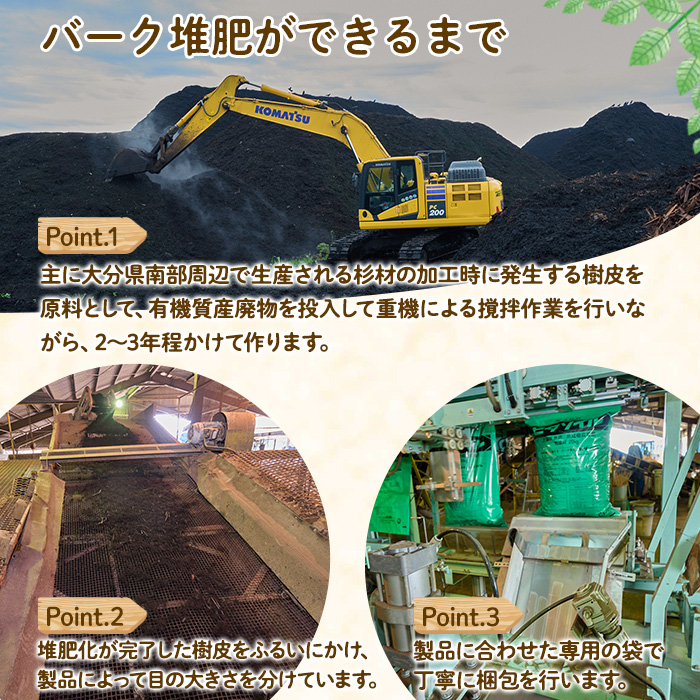 はつか大根栽培キット 甘日大根 二十日大根 家庭菜園 庭 ベランダ 手軽 栽培野菜 大分県 佐伯市【HD237】【さいき本舗 城下堂】