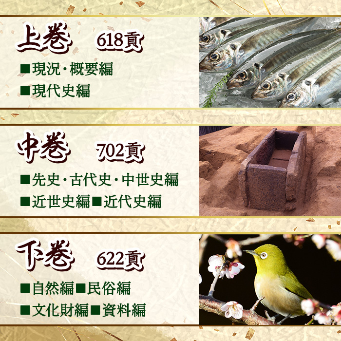 佐伯市誌 上・中・下巻 (全3巻) 本 書籍 歴史 資料 通史 古代 文芸 民俗 文化財 大分県 佐伯市 【HR01】【佐伯市教育委員会社会教育課】