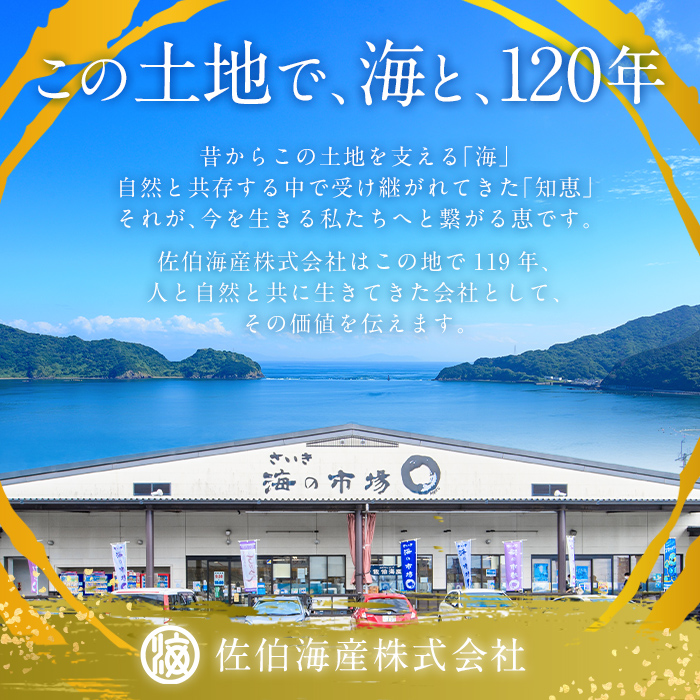 èš³ãã èŸåæå€ªå 䞊å ãã©ã³ 蟌㿠(èš2kg) èš³ã¢ãª å°åã ç¡çè² ãããã æå€ªå æå€ª éžã¹ã ãã©å ã°ãå å·å 倧容é åå
è£
æµ·é®® å°åã ç°¡æå
è£
ããããã ã¡ã³ã¿ã€ã³ åãå 䞊åãBQ88ããäœäŒ¯æµ·ç£ã