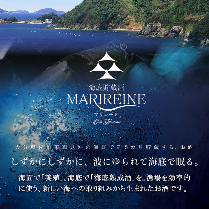 海底貯蔵 麦焼酎 杜谷 黒むぎ (720ml・1本) 大分県産 国産 焼酎 麦 酒 25度 海底酒 熟成 大分県 佐伯市【FP027】【フルタ酒店】