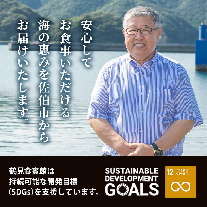 ＜訳あり＞ 厳選 干物 お試し版 (総量10枚) 簡単 調理 干物 あじ かます さば ぶり ぶりかま 開き 魚 海鮮 冷凍 詰め合わせ 大分県 佐伯市 やまろ渡邉【DL33】【鶴見食賓館】